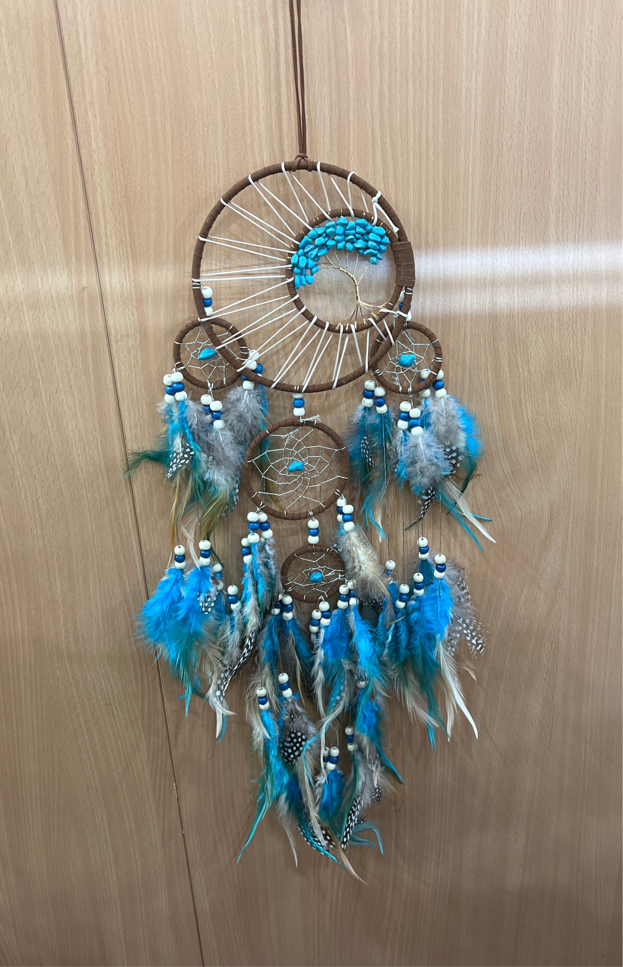 Dream Catchers