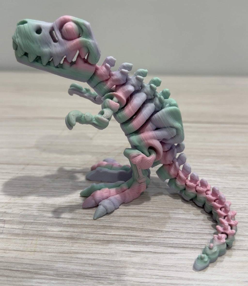 Skeleton Trex - Small