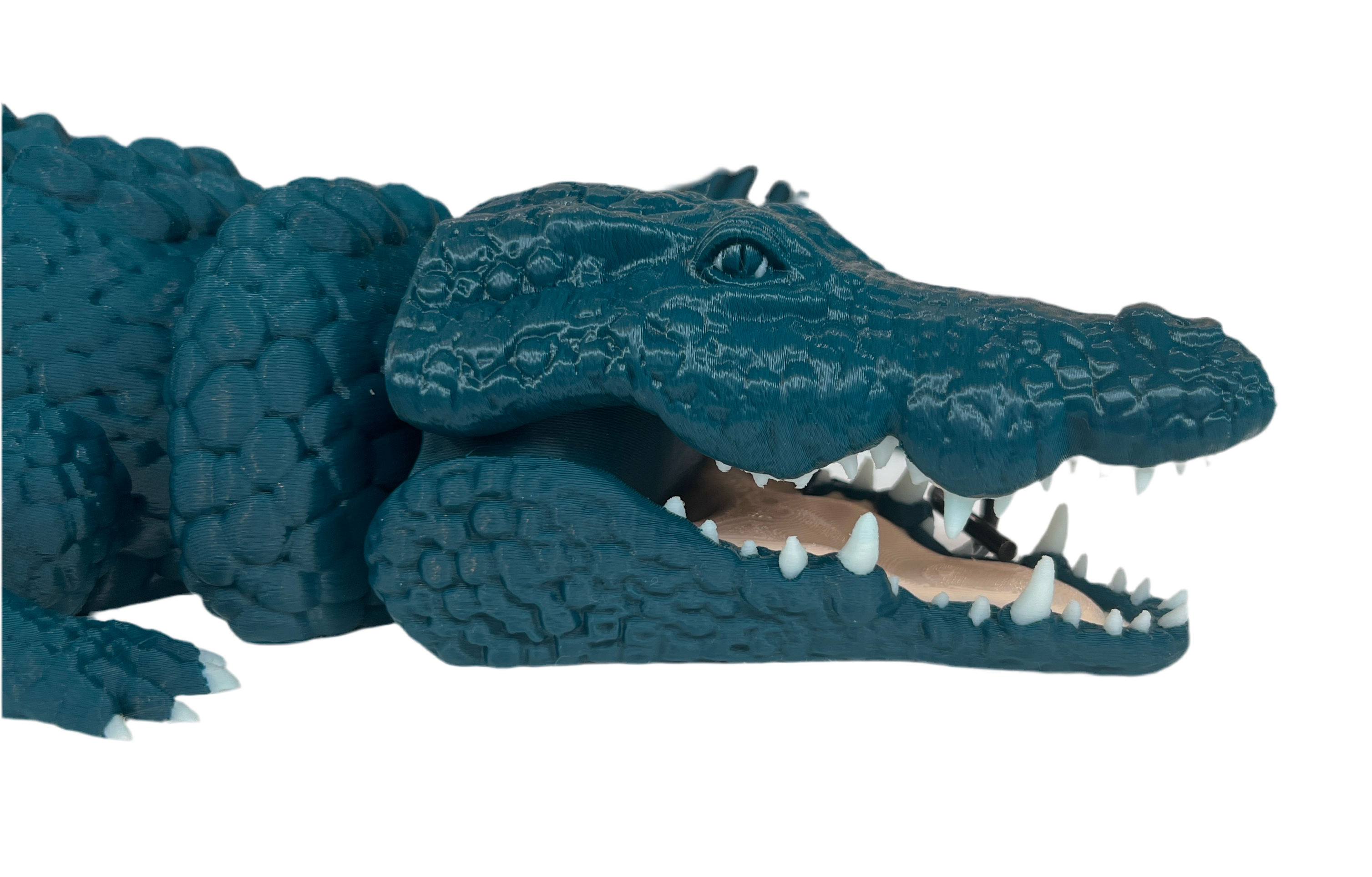 Crocodile XL