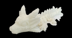 Baby Axolotl Dragons
