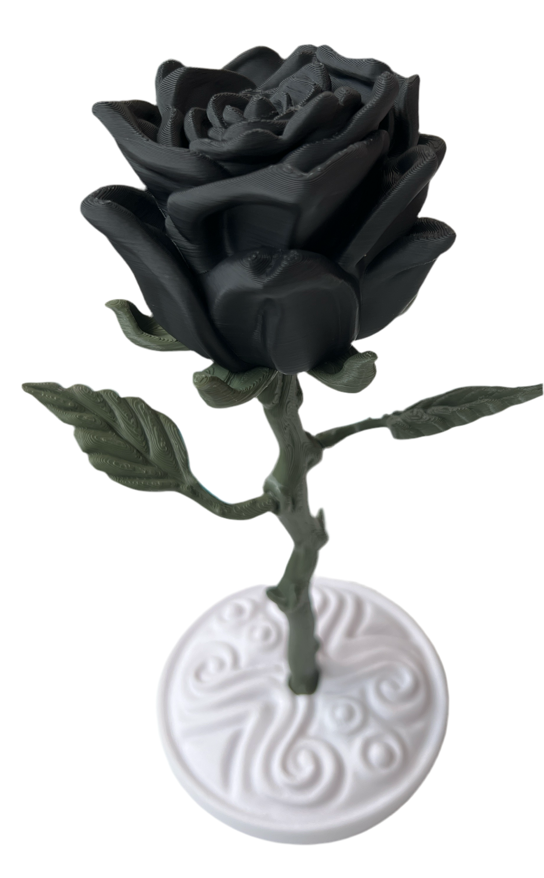 Valentines Roses