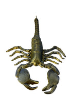 Scorpions - Large