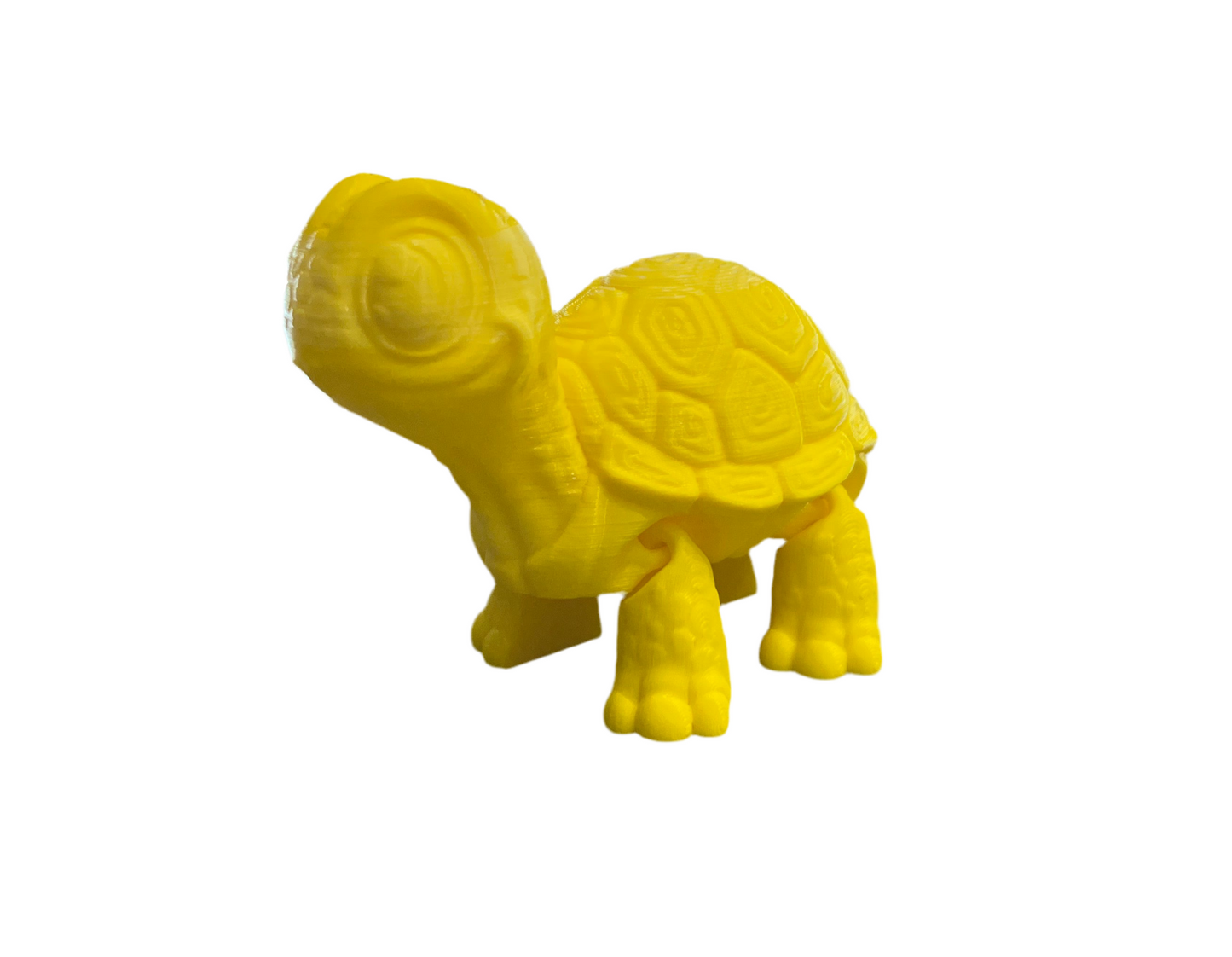 Cute Turtles