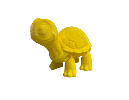 Cute Turtles