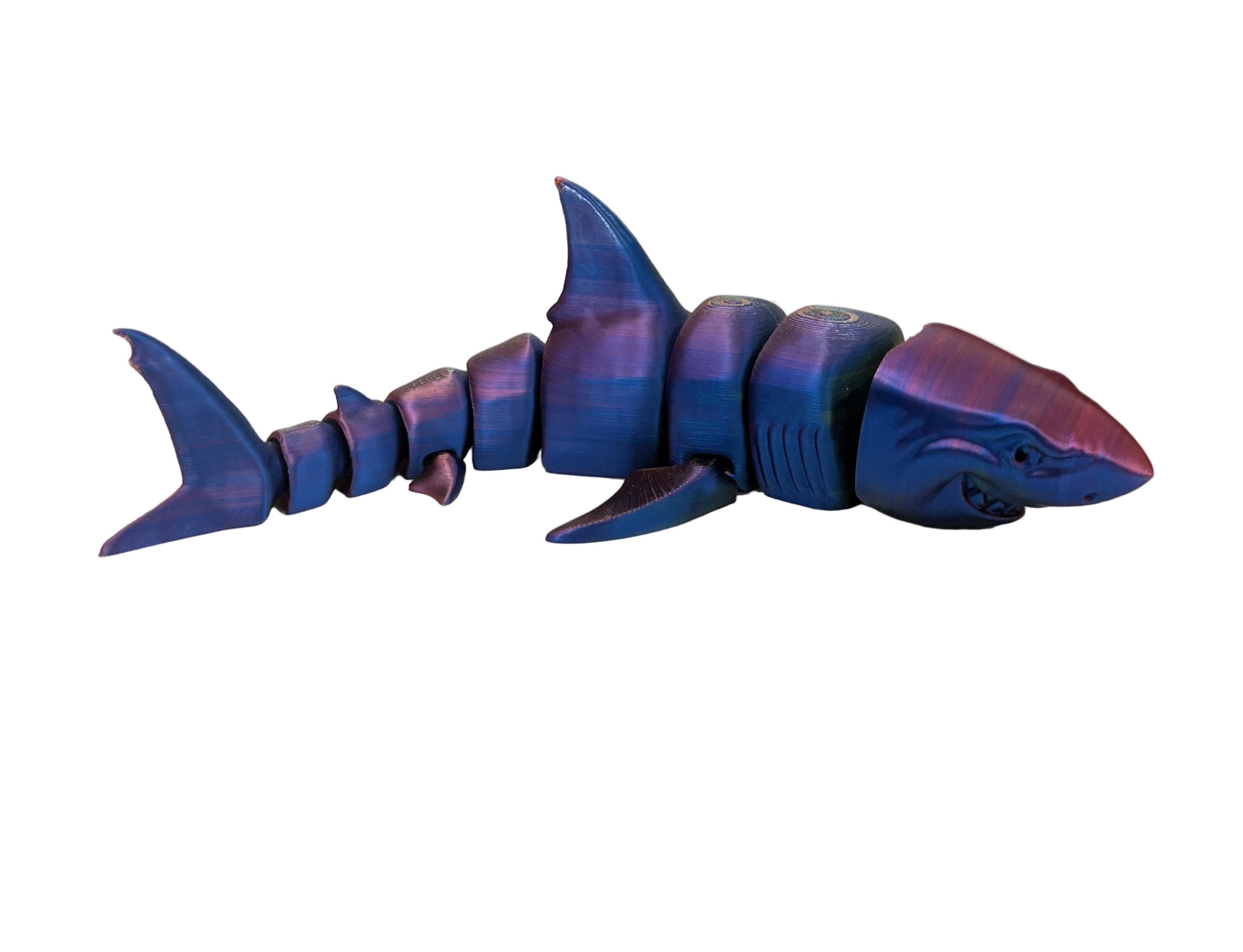 Great White Sharks - Large