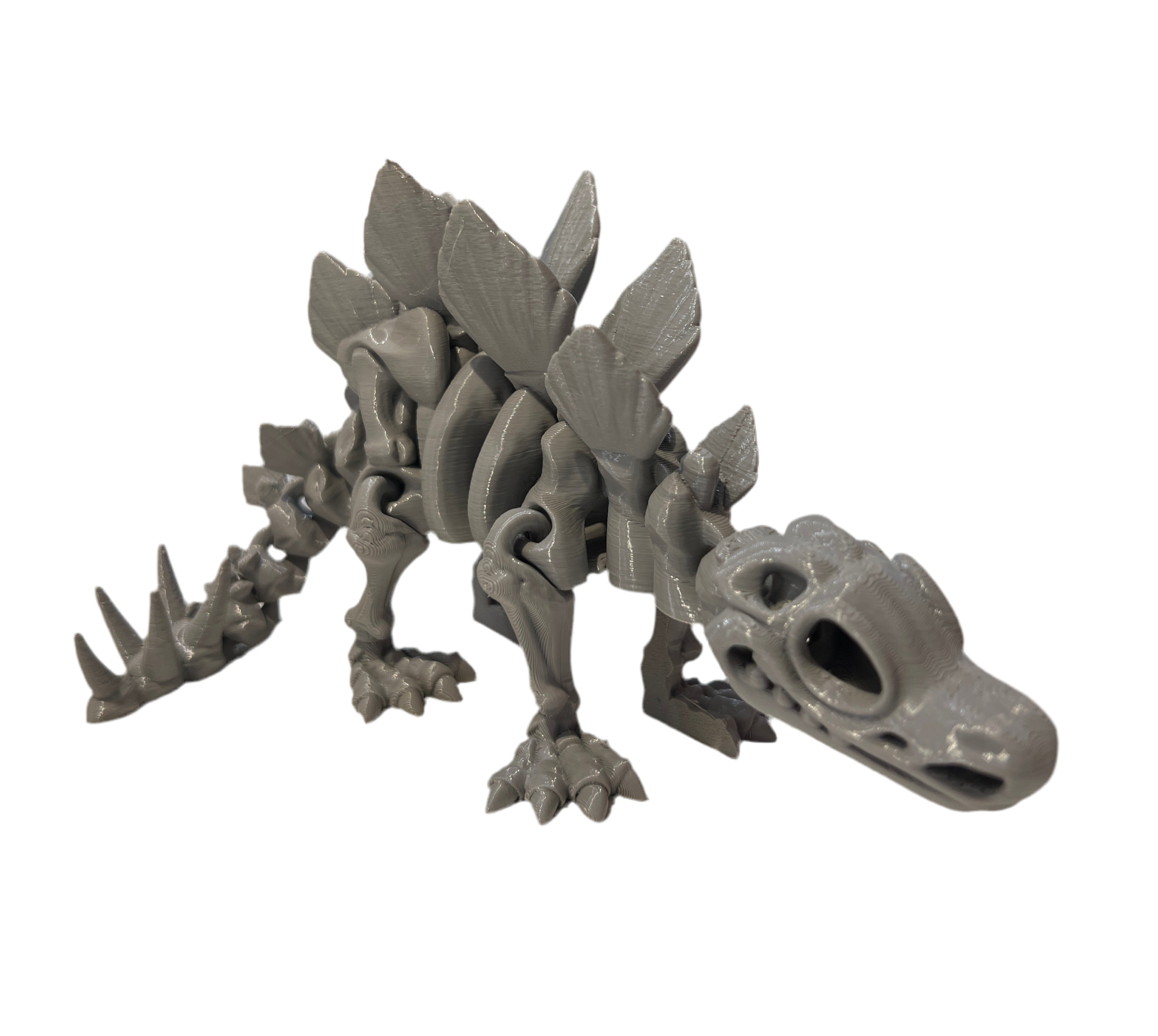 Stegosaurus