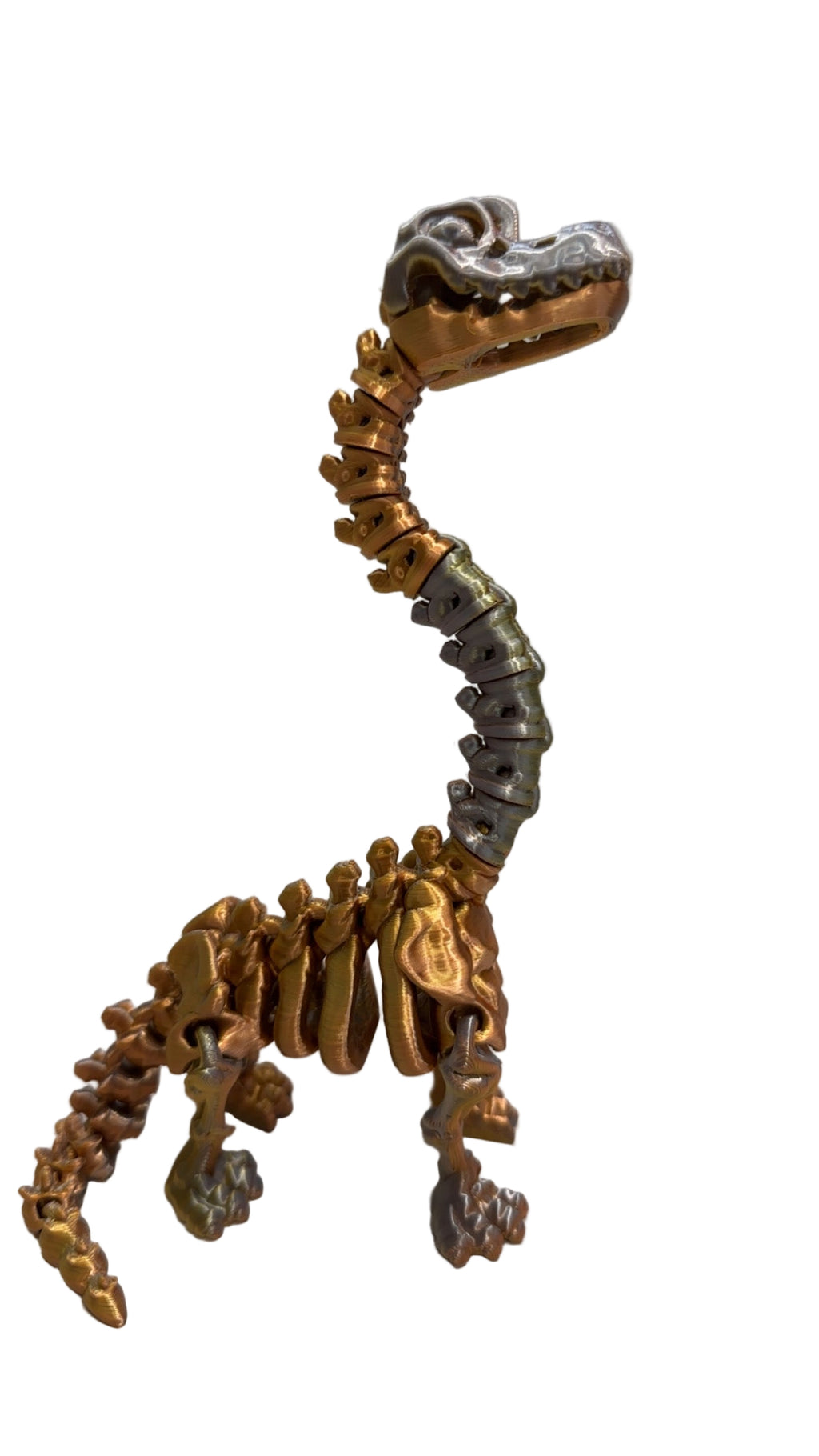 Skeleton Brachiosaurus - Small