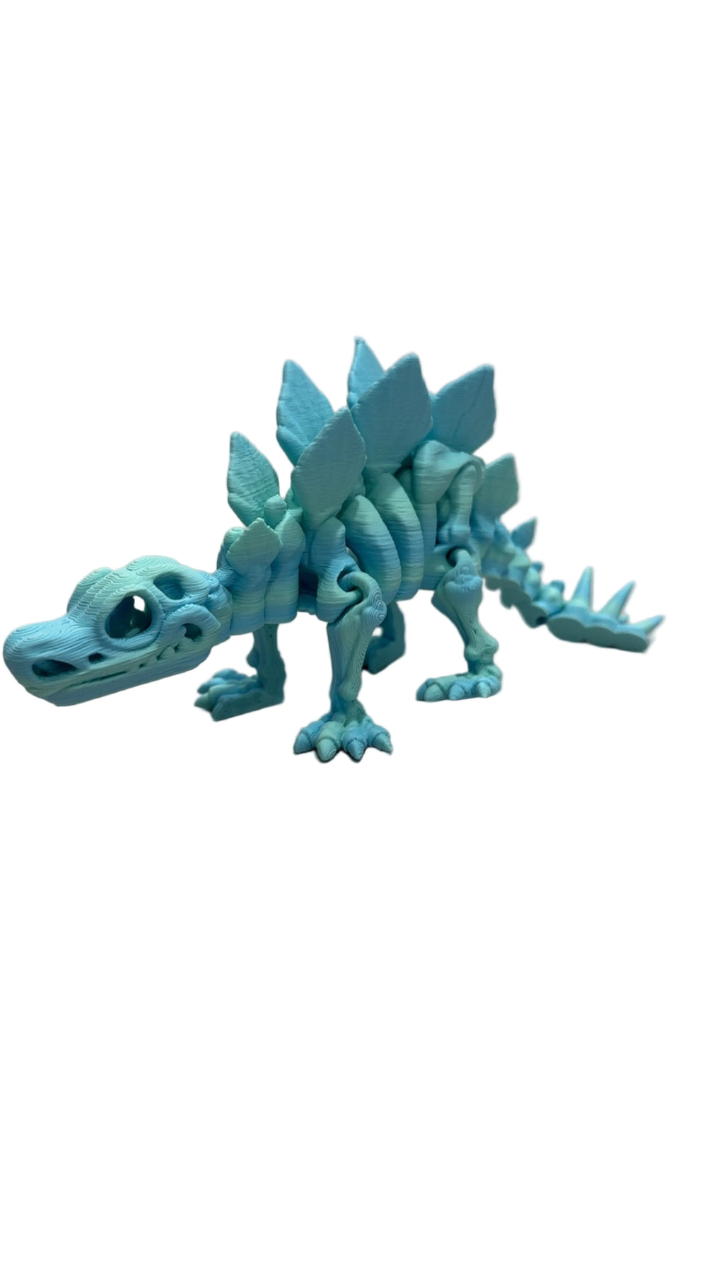 Skeleton Stegosaurus - Small