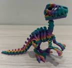 Skeleton Raptors - Small