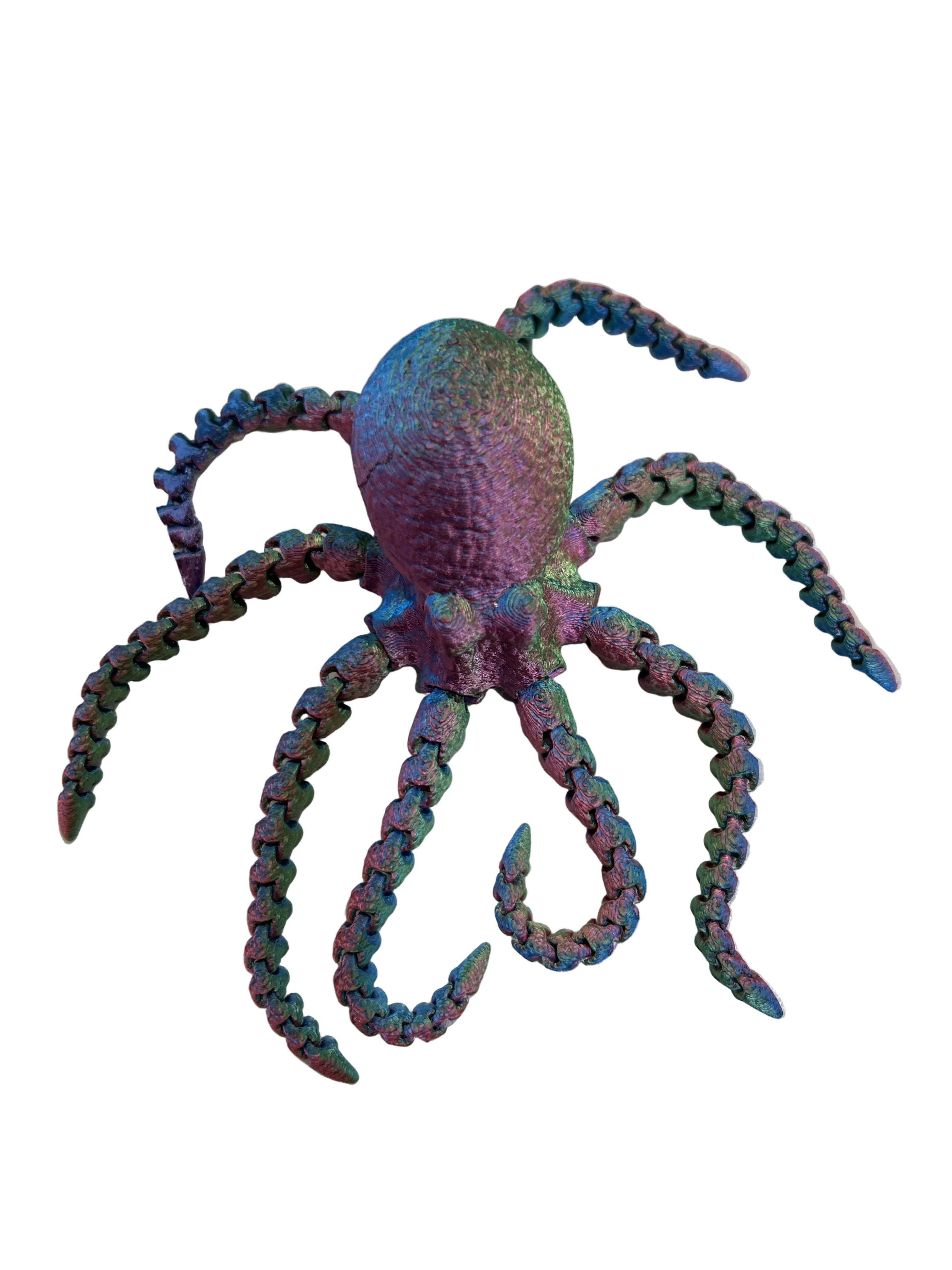 Octopus - Medium
