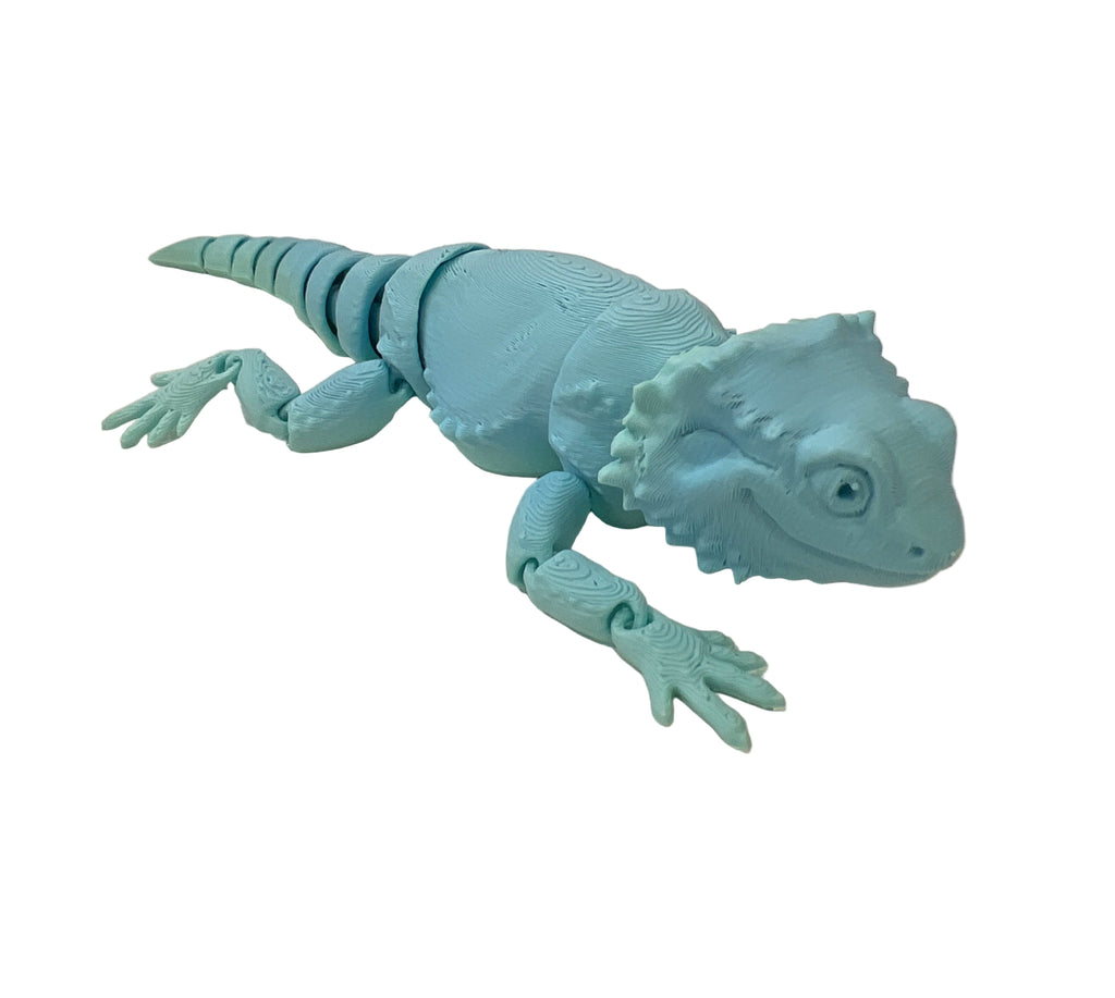 Baby Bearded Dragons