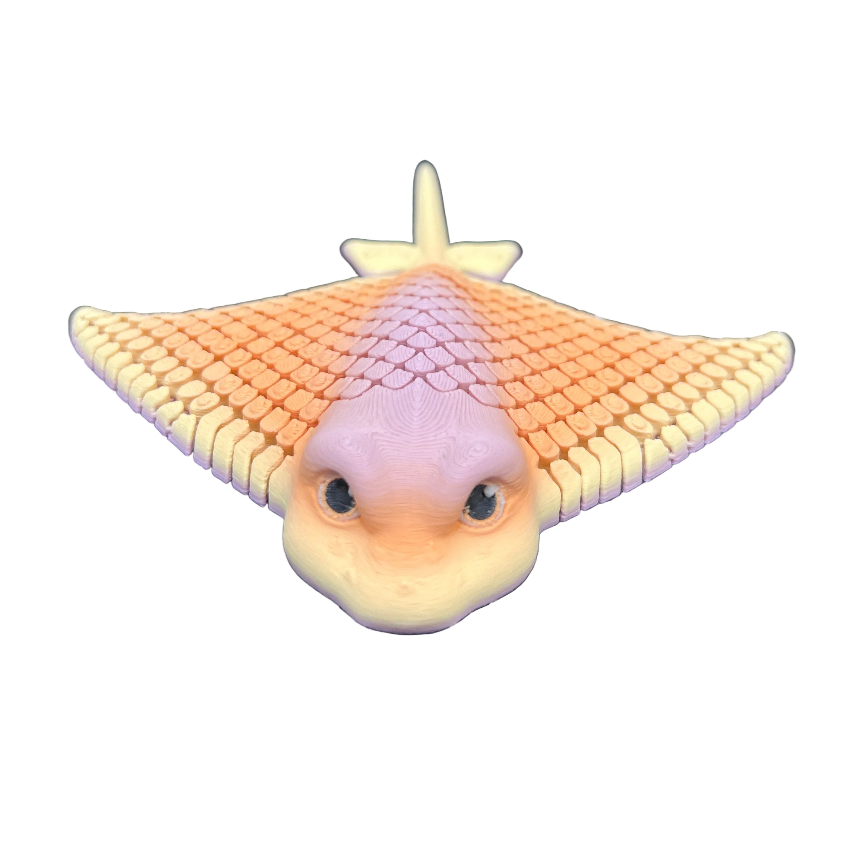 Stingrays - Medium