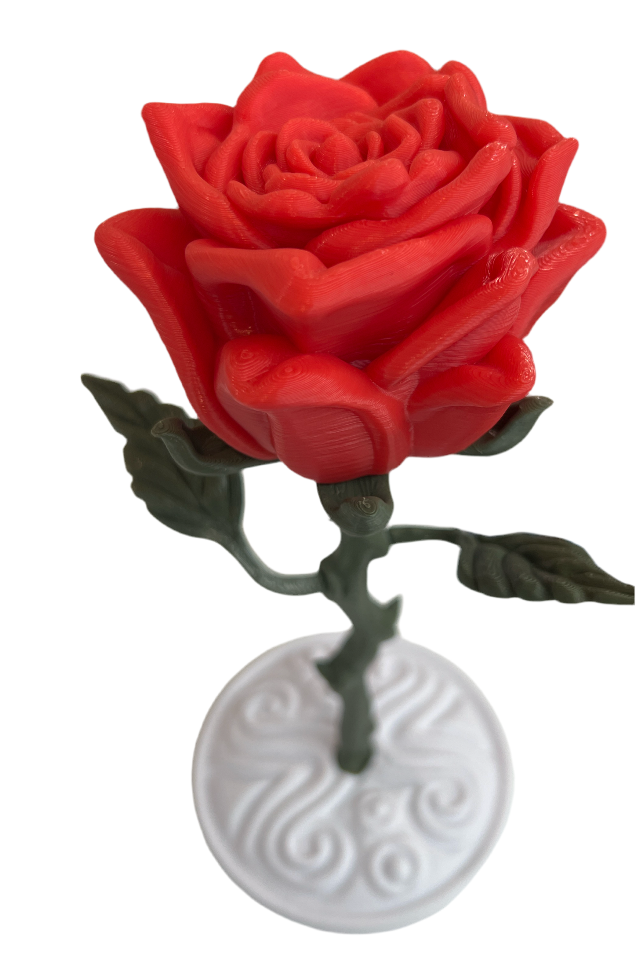Valentines Roses