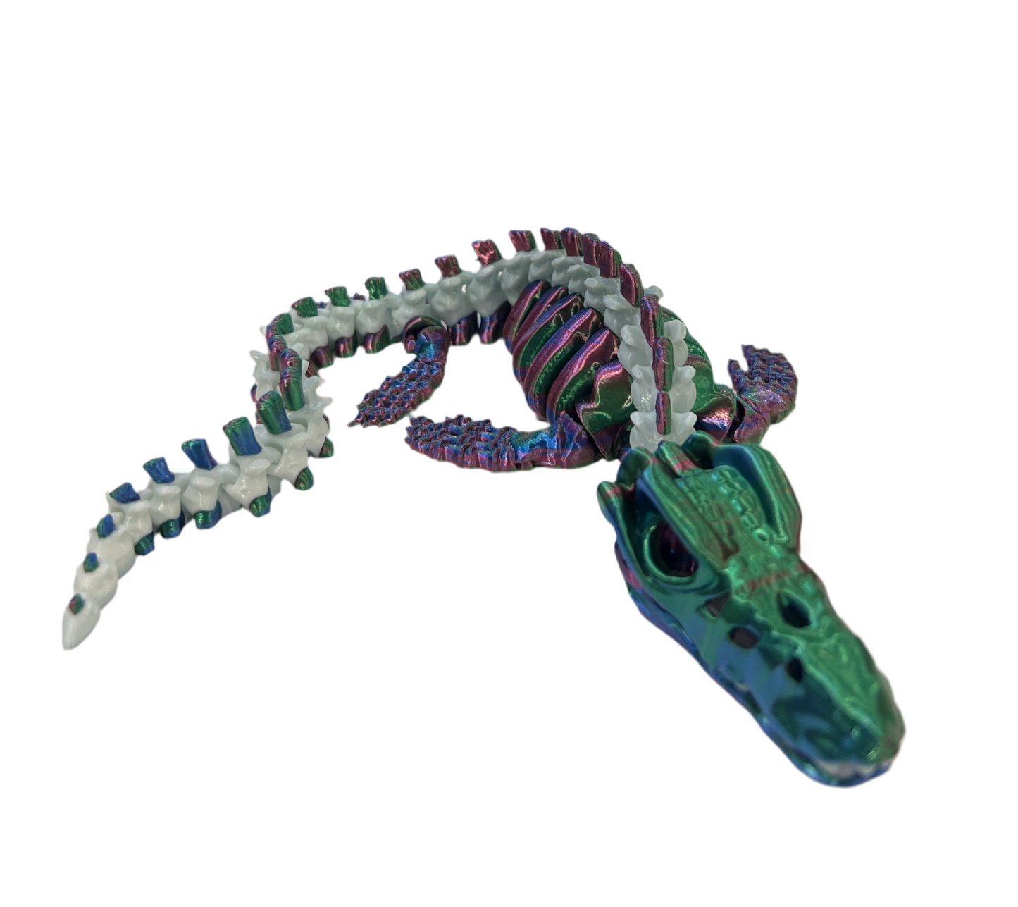 Mosasaurus Skeleton