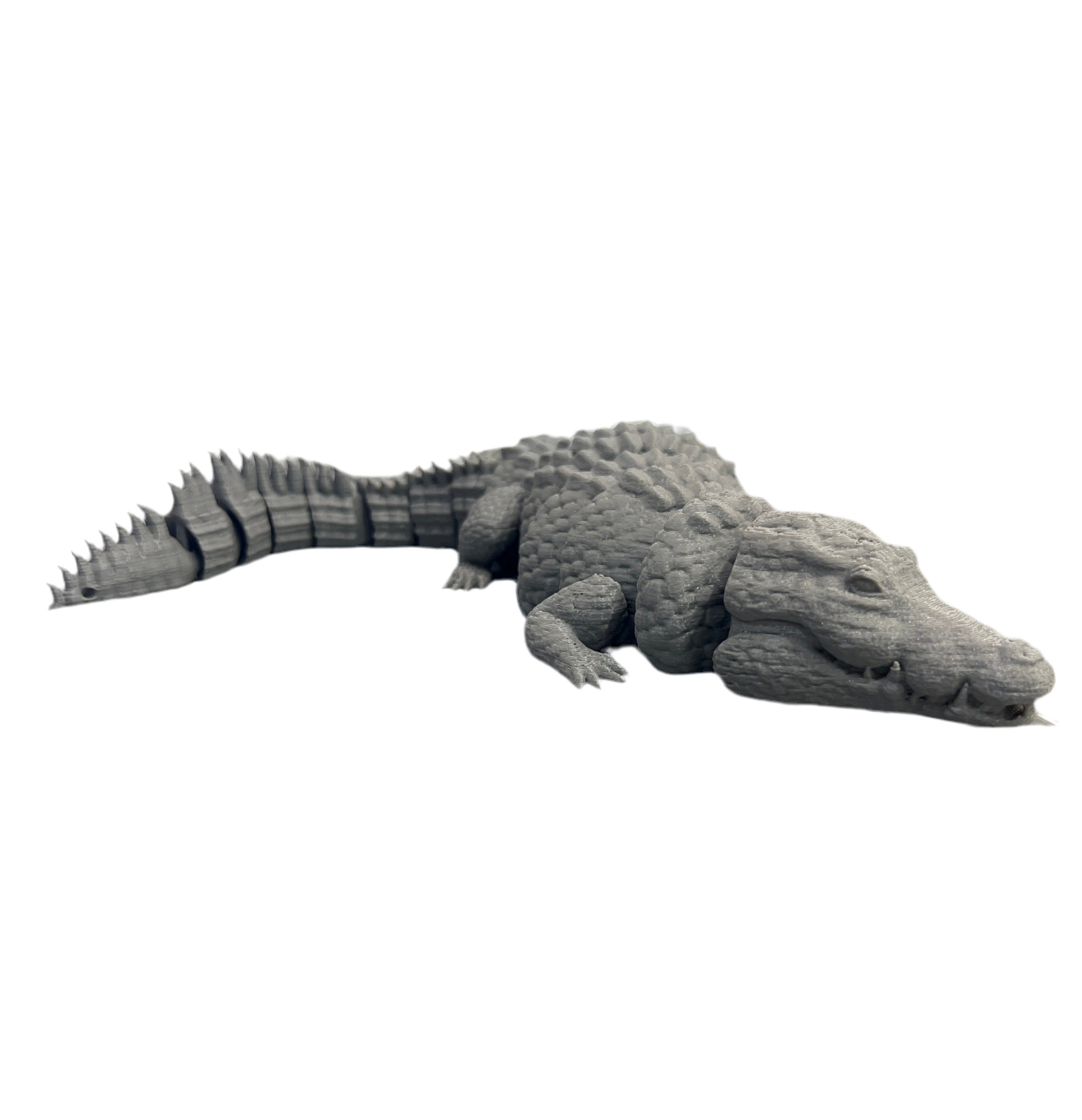 Crocodiles