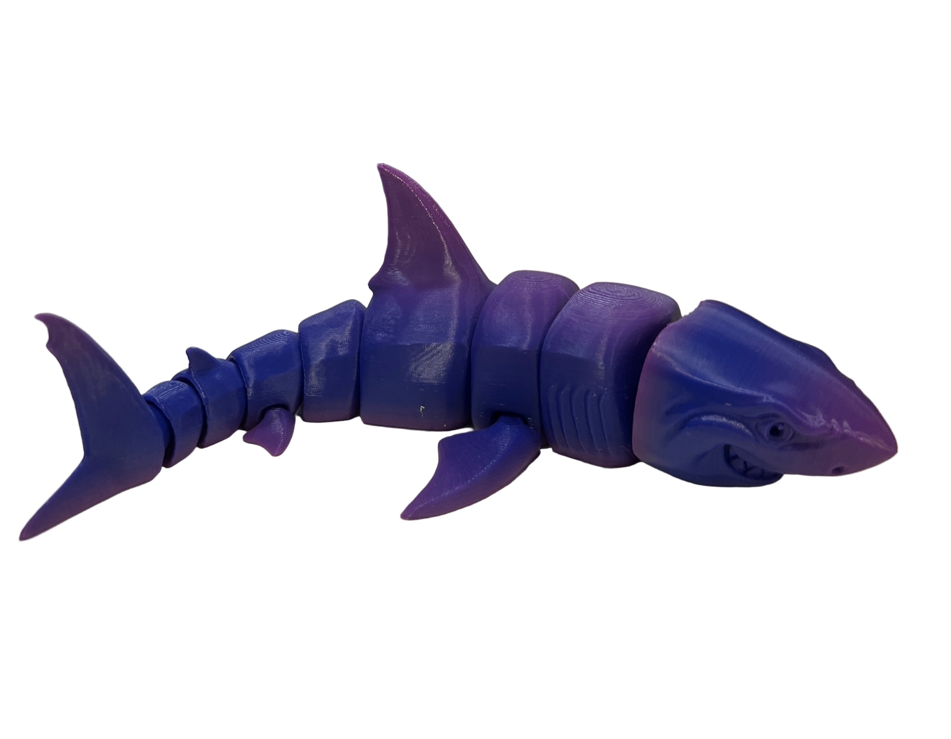 Great White Sharks - Large