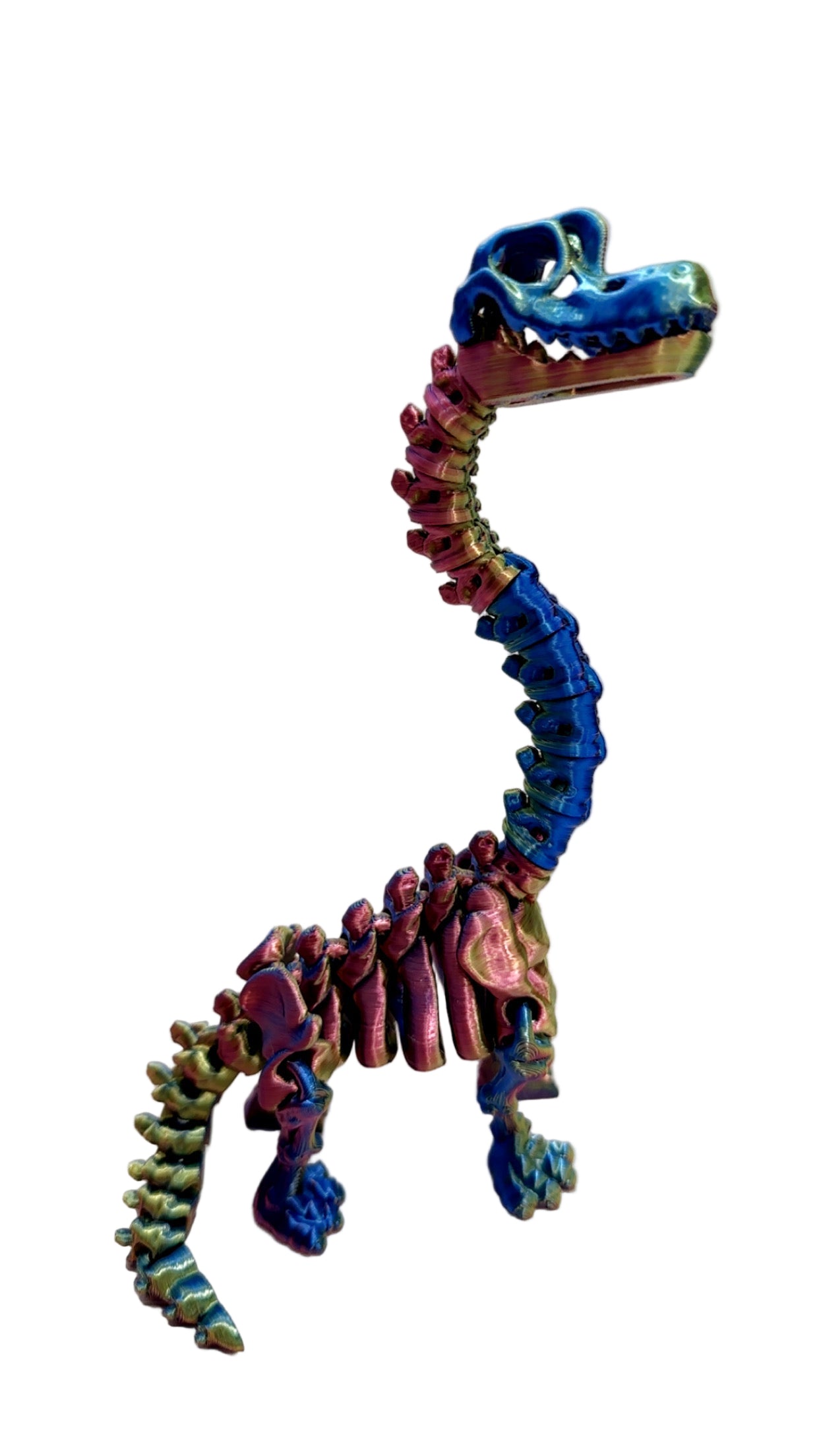 Skeleton Brachiosaurus - Small