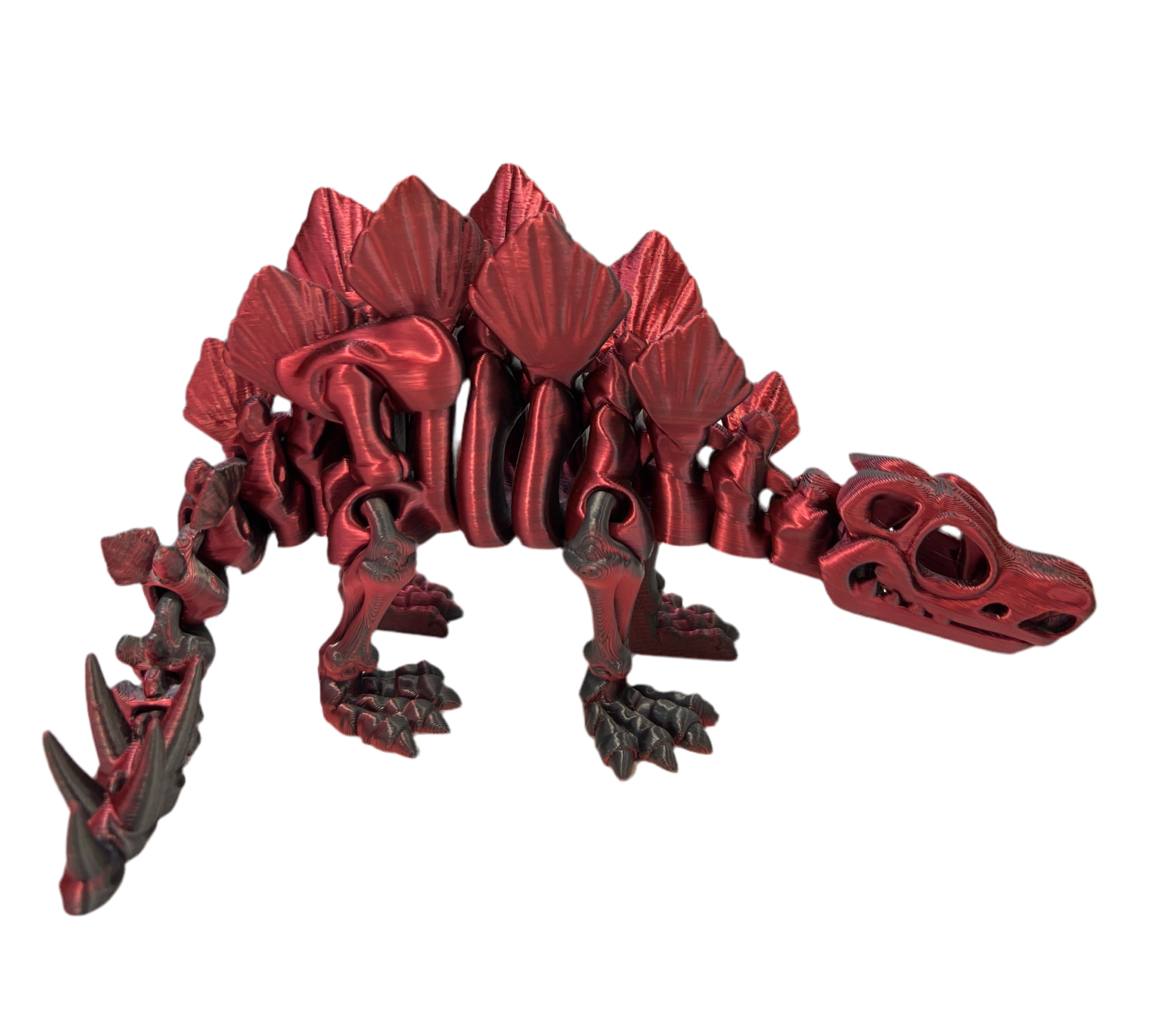 Stegosaurus