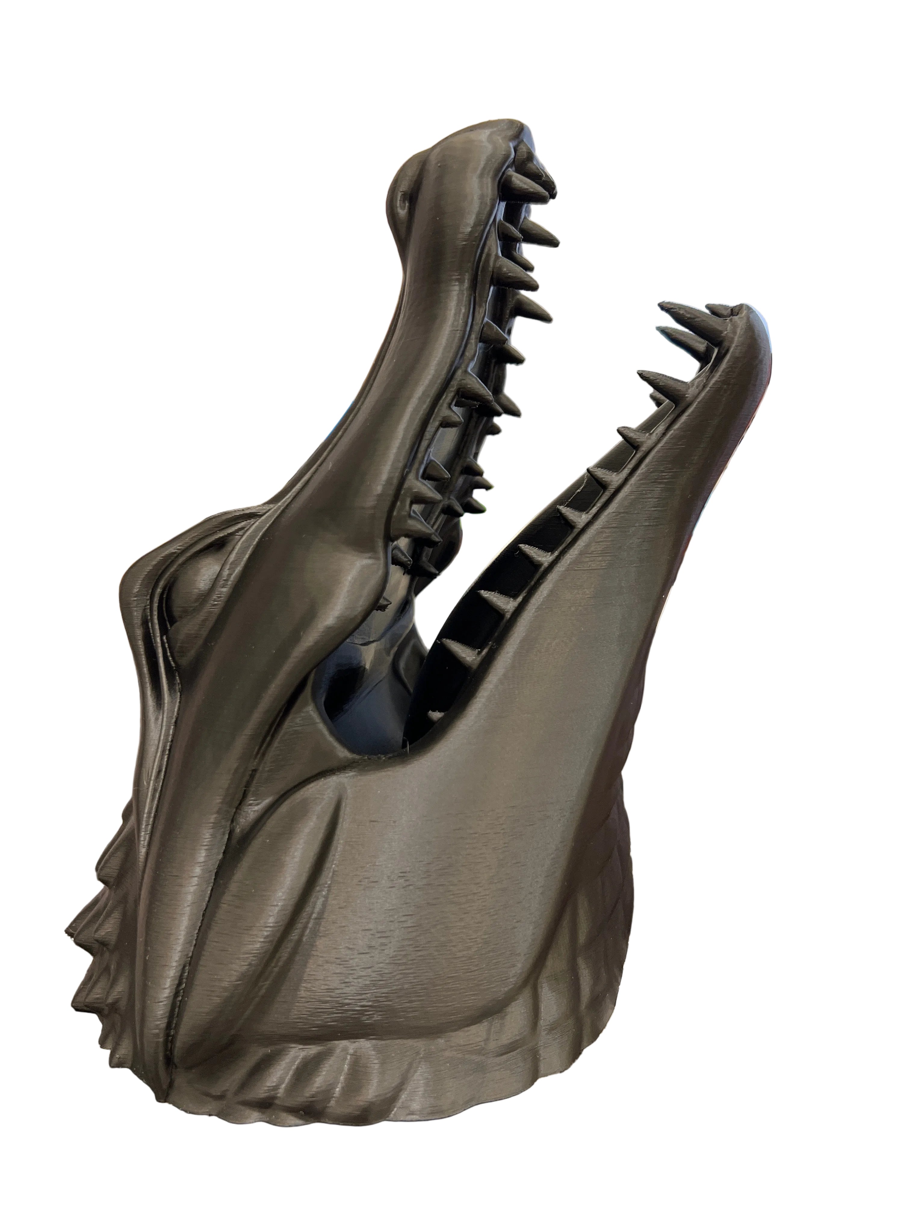 Crocodile Head Wall Decor