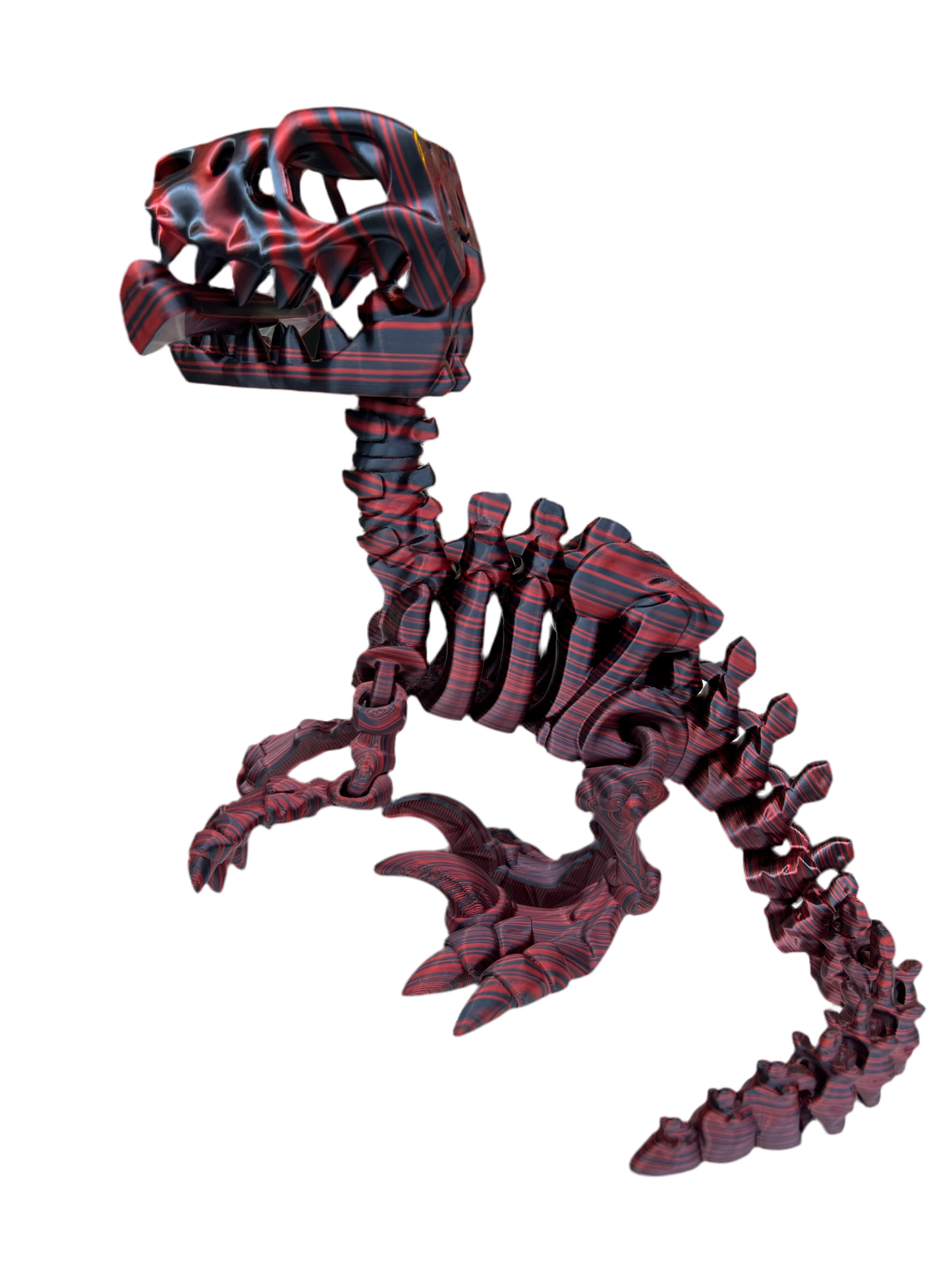 T - Rex XL Skeleton with Bone #9