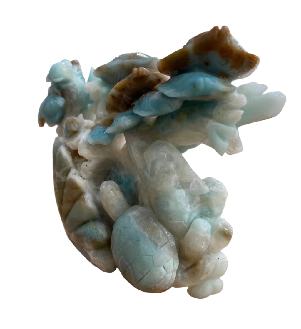 Caribbean Calcite Fish with Coral
