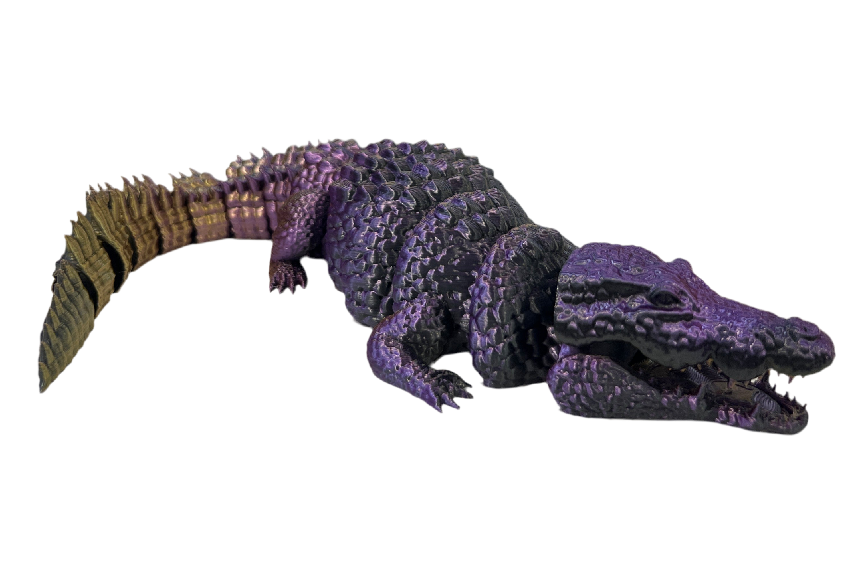 Crocodiles
