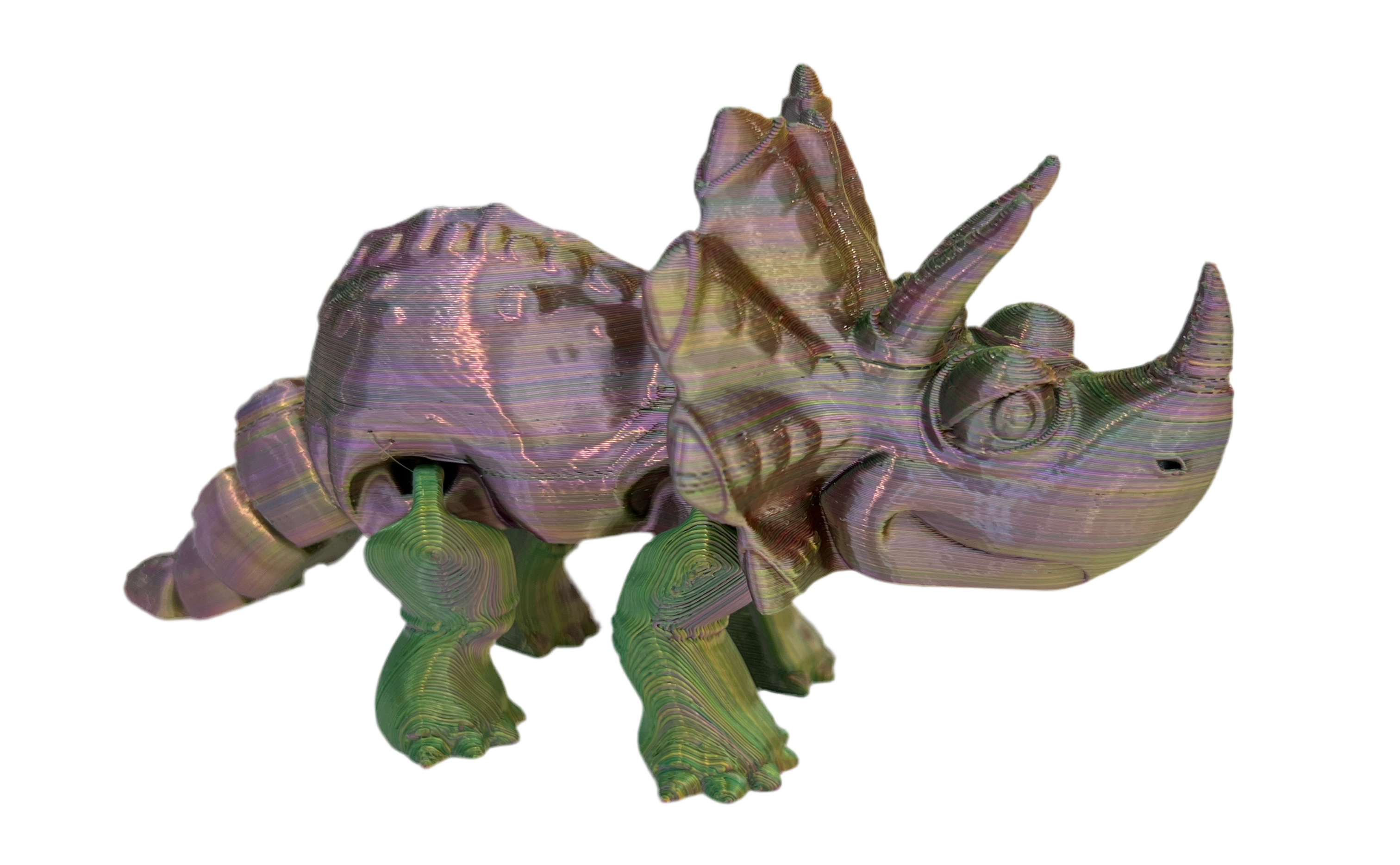 Triceratops