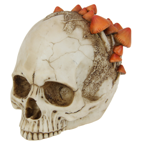 Skull with Mushroom Growth