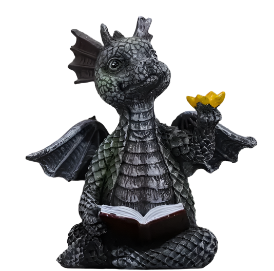Dragon Reading Book