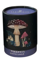 Candle with Moth Moon Phase
