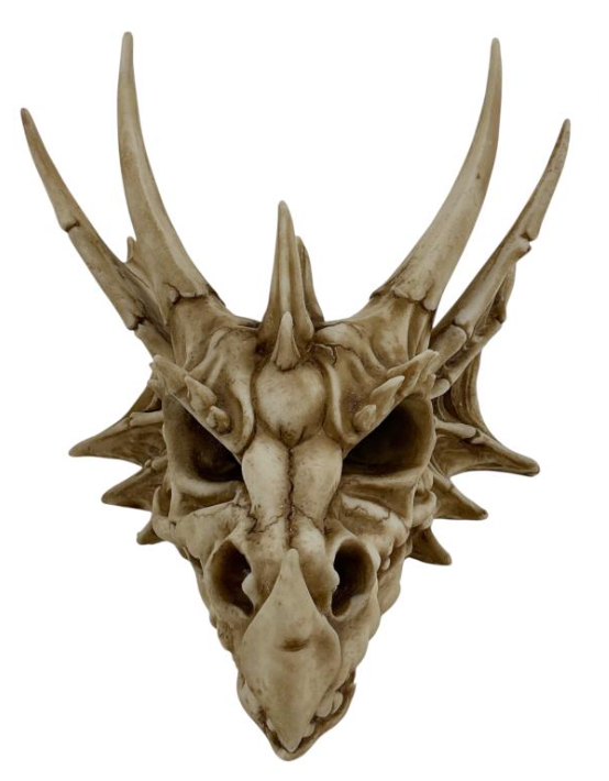 Antique Dragon Skull Head - Medium
