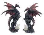 Black/Red Dragon on Cliff with Crystal