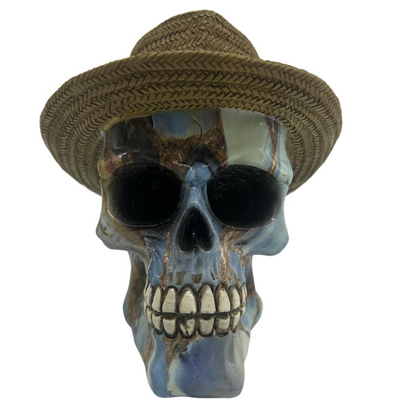 Skull with Panama Hat