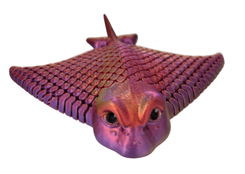 Stingrays - Medium