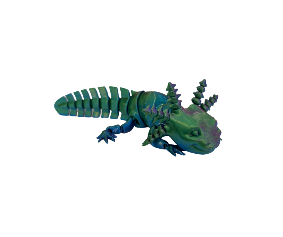 Baby Axolotls