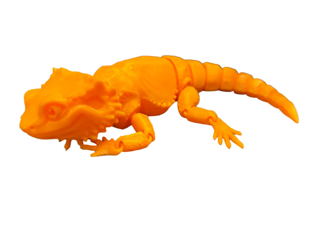 Bearded Dragons