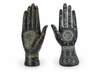 Palmistry Hand Phrenology