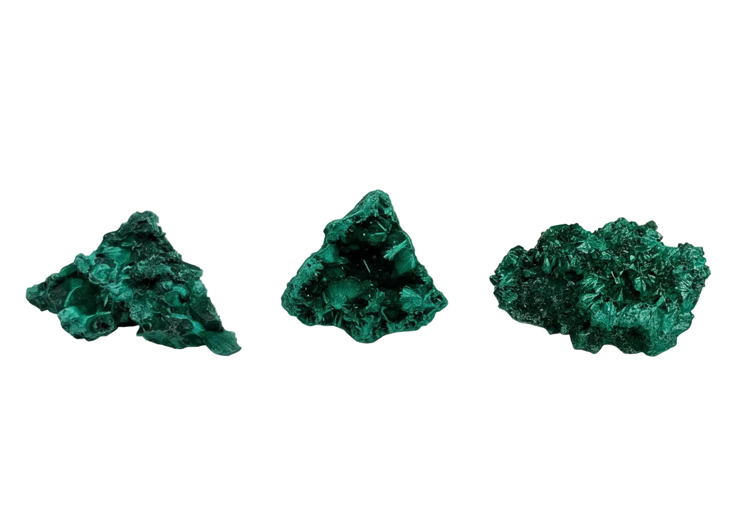 Velvet Malachite