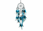 Dream Catchers